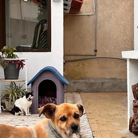 Nina's Maison d'hôtes Charneca (Setubal)