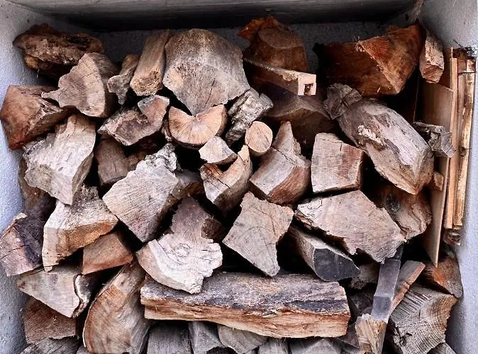 Nina's Πανσιόν Charneca (Setubal)