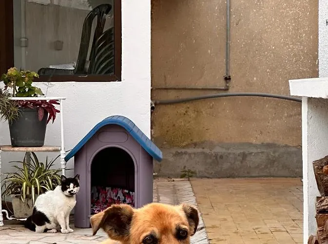 Nina's Πανσιόν Charneca (Setubal)